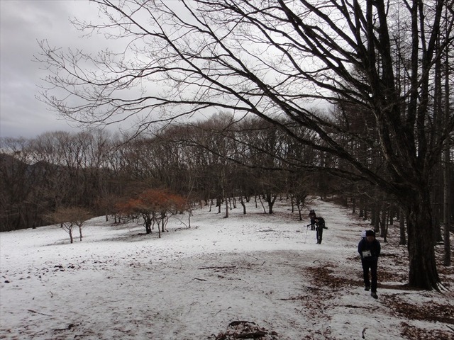 DSC00431_R