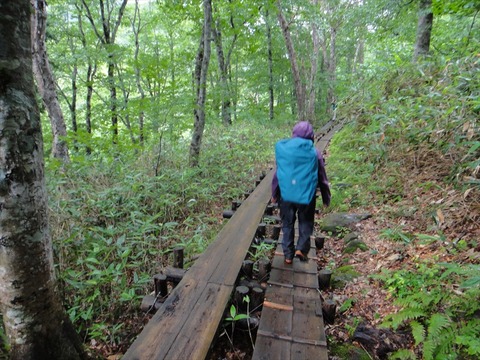 DSC08620_R