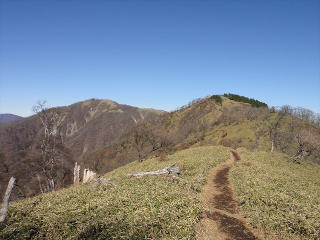 DSC09707_R