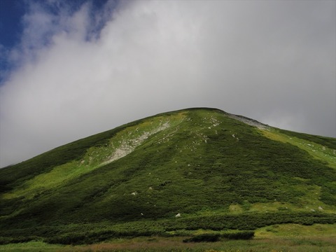 DSC08877_R