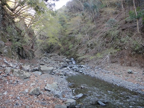 DSC06842_R