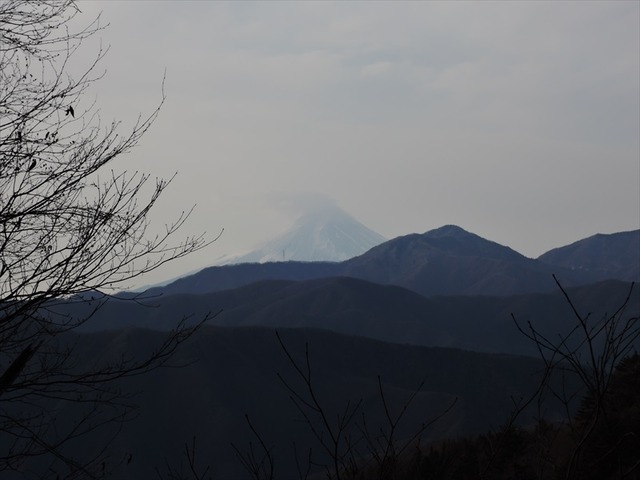 DSCN8339_R