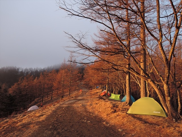 DSCN6561_R