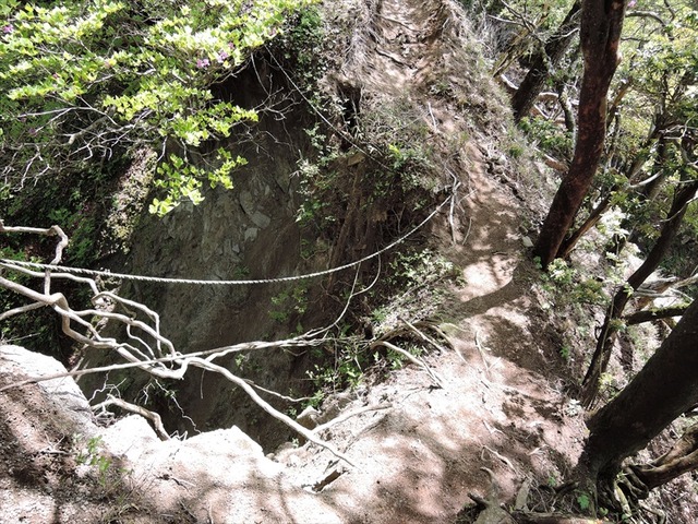 DSCN1781_R