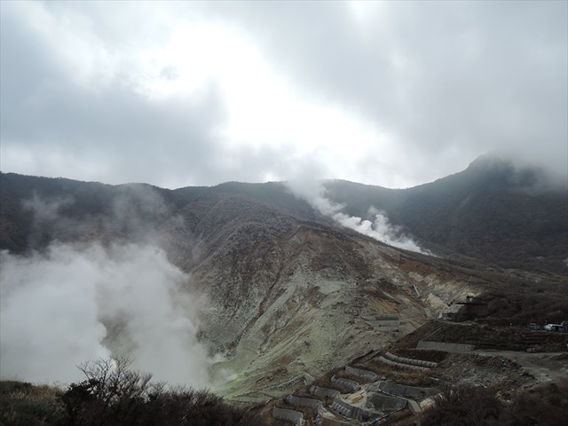 DSCN5831_R