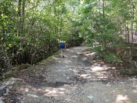 DSC07947_R