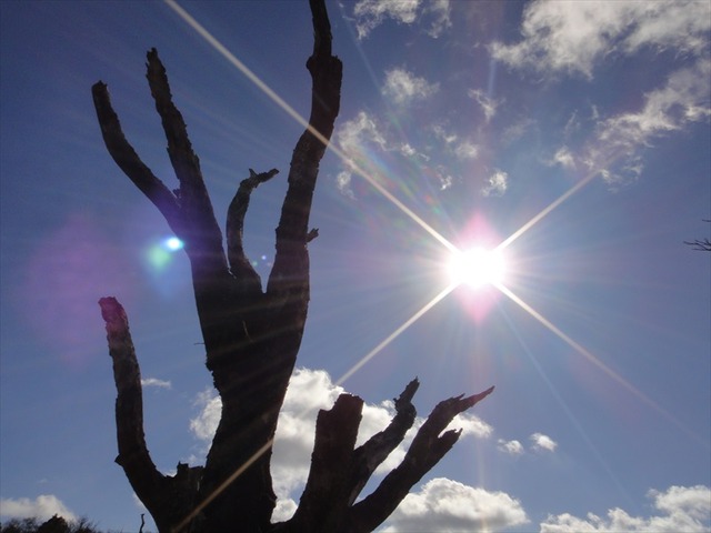DSC09738_R