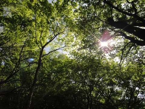 DSC03754_R