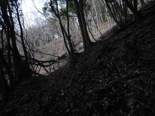 DSC00805_R