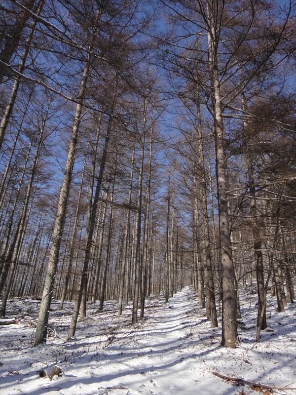 DSC00338_R