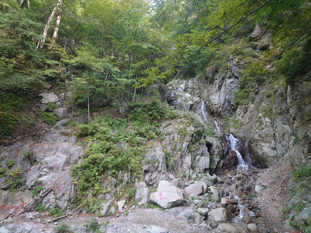 蔵にあった大型の青磁桐鳳凰文水盤 蔵にあった大型の青磁桐鳳凰文水盤 美術品・アンティーク