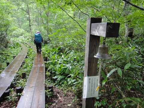 DSC08622_R