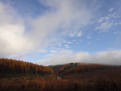 DSC09582_R