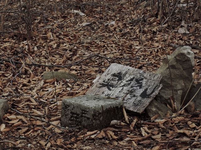 DSCN0776_R