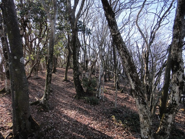 DSC00882_R