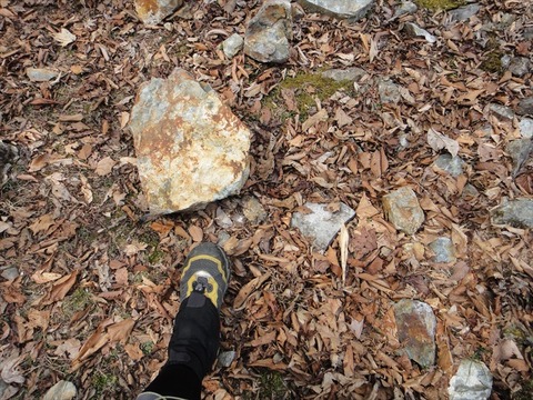 DSC06913_R