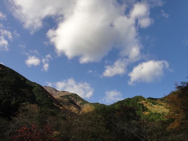 DSC09781_R