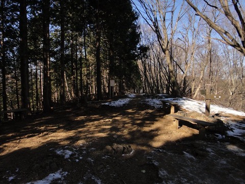 DSC06296
