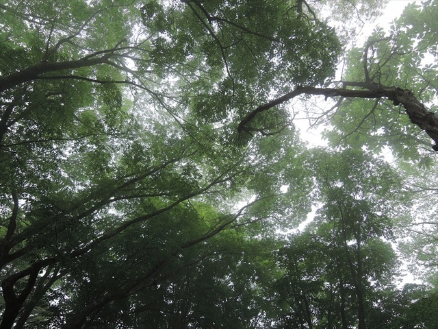 DSCN1713_R