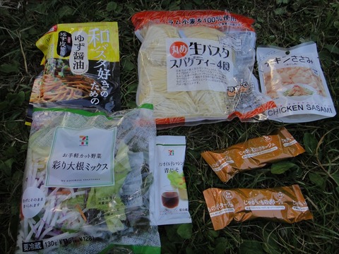 DSC09050_R