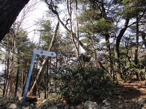 DSC03543