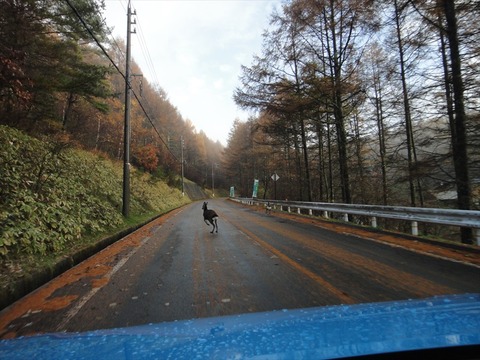 DSC09581_R