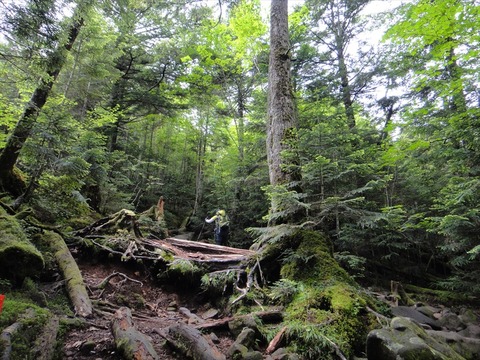 DSC08191_R