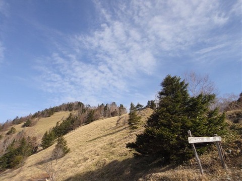 DSC03407