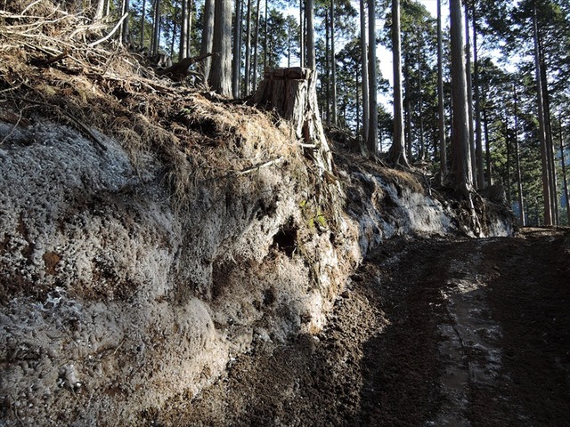 DSCN4544_R