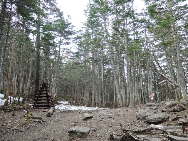 DSCN2122_R