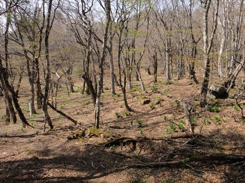 DSC07571_R
