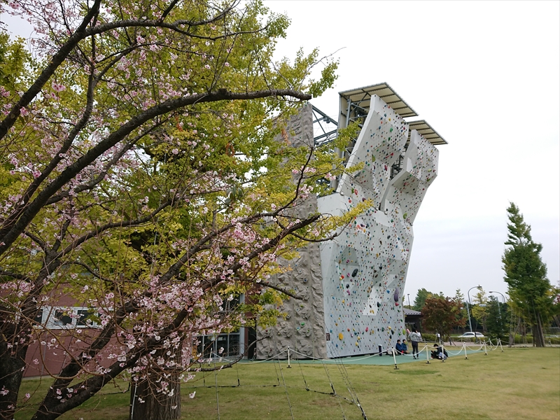 salomon rs warm softshell pant m