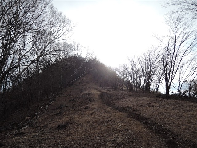 DSCN7590_R