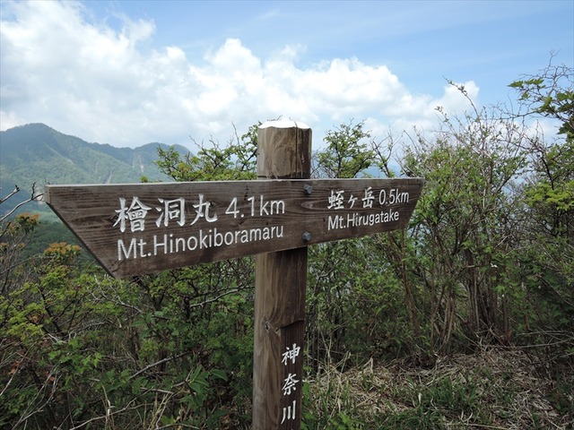 DSCN1808_R