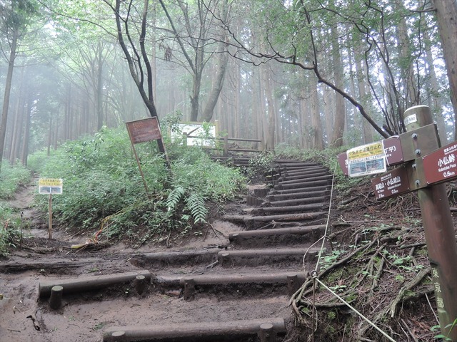 DSCN4194_R