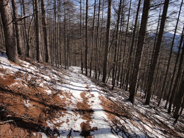DSC00345_R
