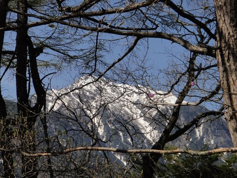 DSC07248_R