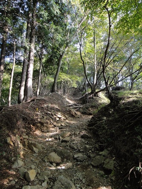 DSC05299