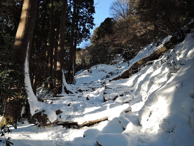 DSCN3751_R