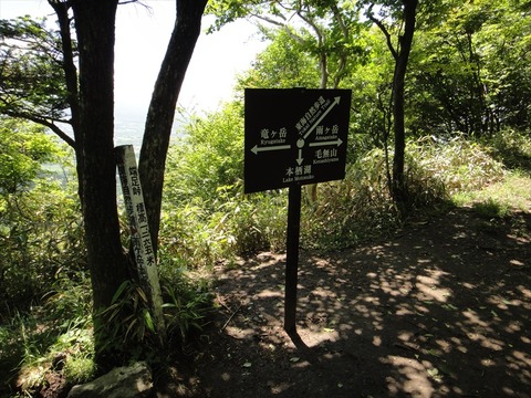 DSC07768_R