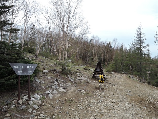 DSCN2124_R