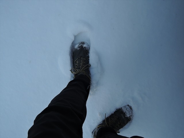 DSCN3748_R