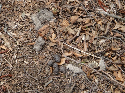 DSC06900_R