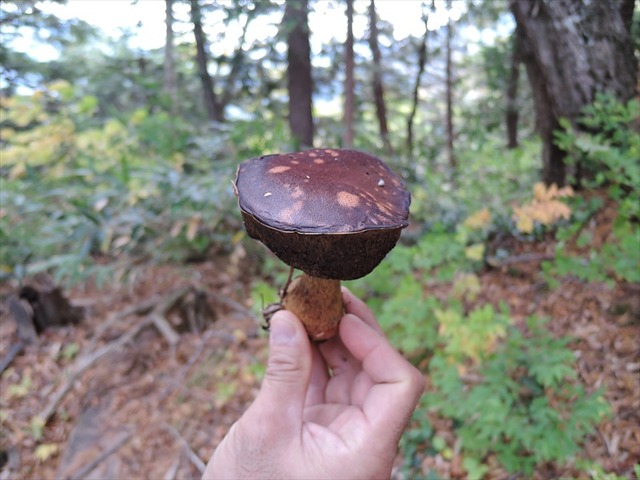 DSCN3468_R