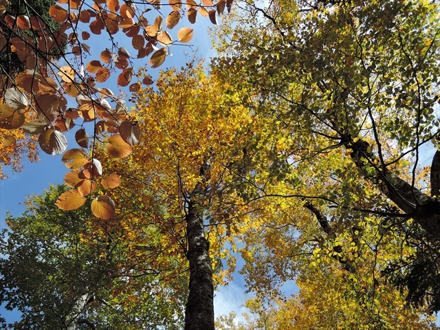 DSCN3454_R
