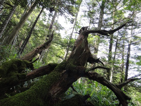 DSC08140_R