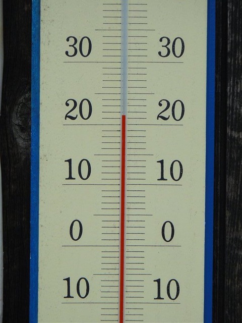 DSC05008