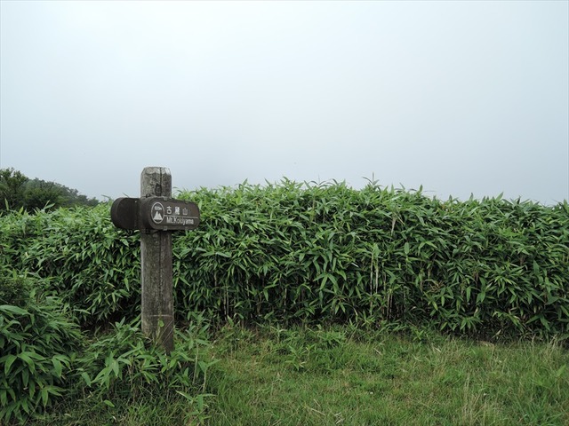DSCN7899_R