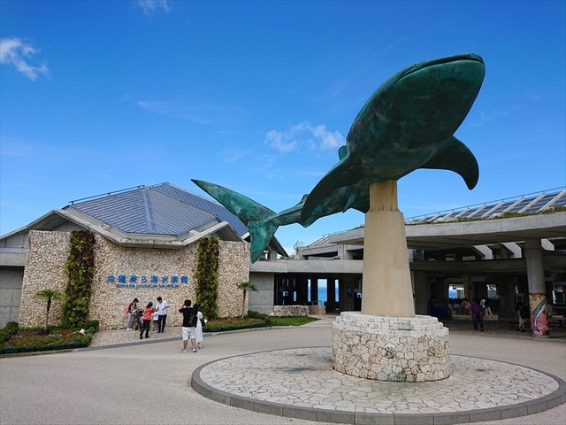 DSC_1041_R