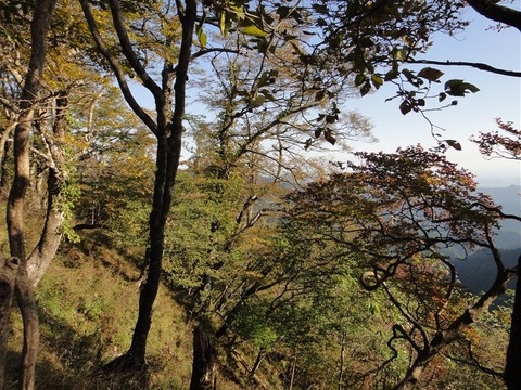 DSC05433